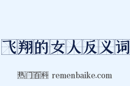 飞翔的女人反义词是什么意思的图片